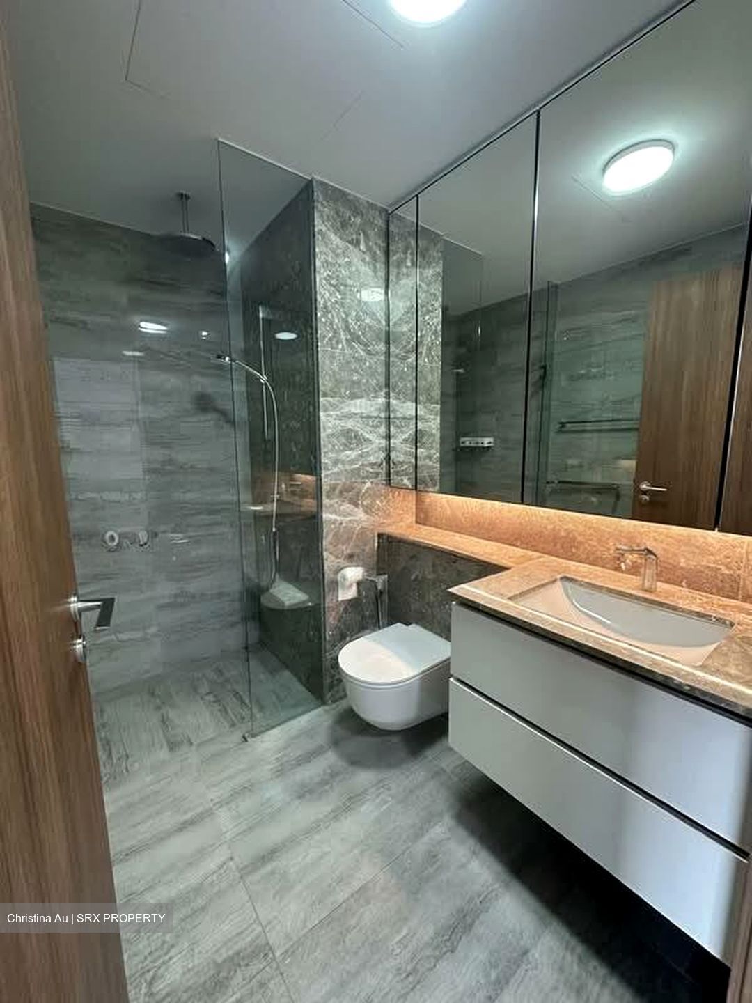 Fourth Avenue Residences (D10), Apartment #560337801